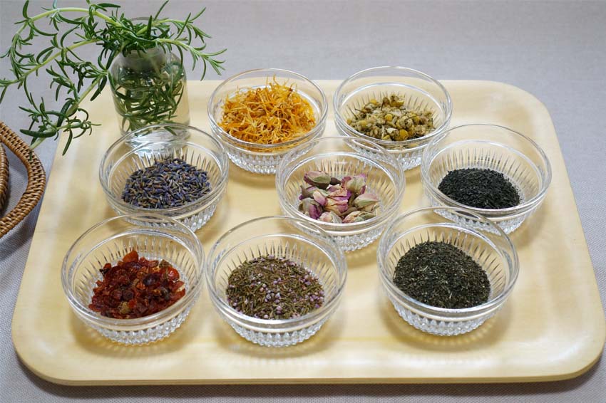 植物(Medical Herbs)